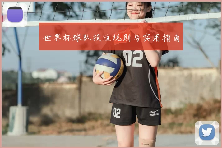 世界杯球队投注规则与实用指南