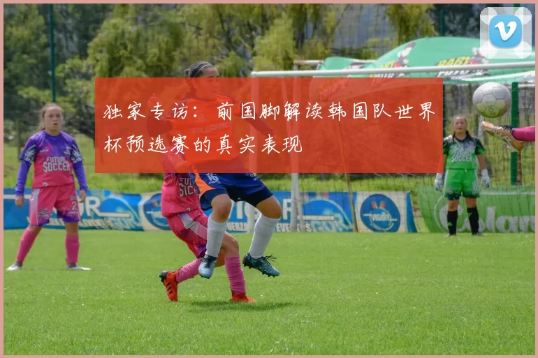 独家专访:前国脚解读韩国队世界杯预选赛的真实表现