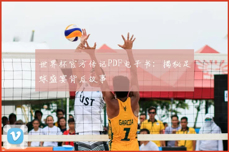 世界杯官方传记PDF电子书:揭秘足球盛宴背后故事