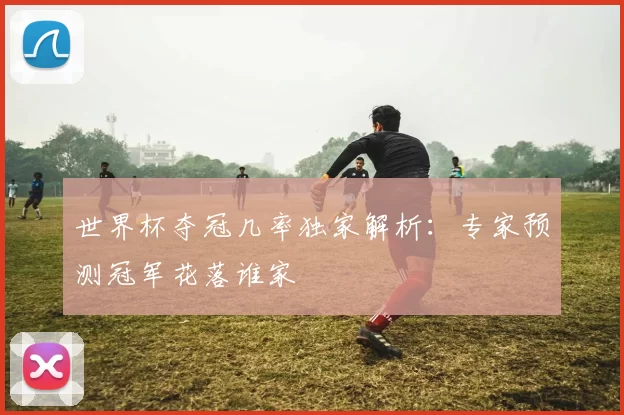 世界杯夺冠几率独家解析:专家预测冠军花落谁家