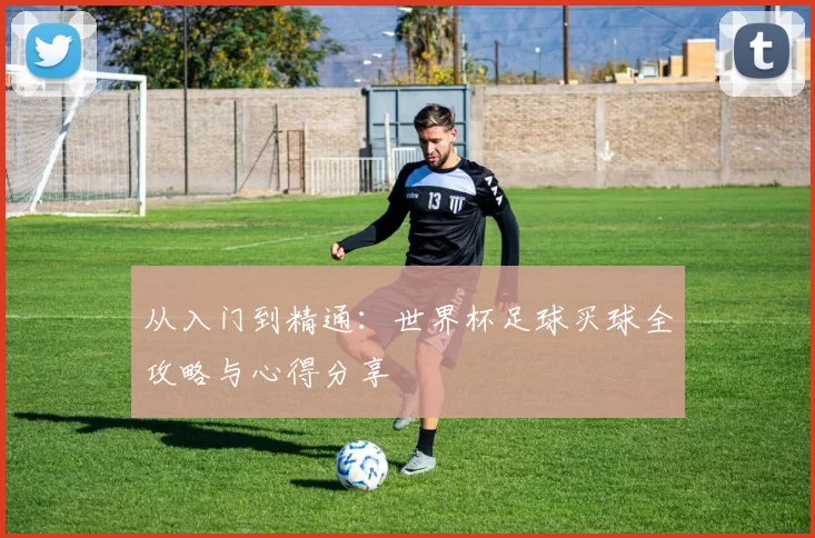 从入门到精通:世界杯足球买球全攻略与心得分享