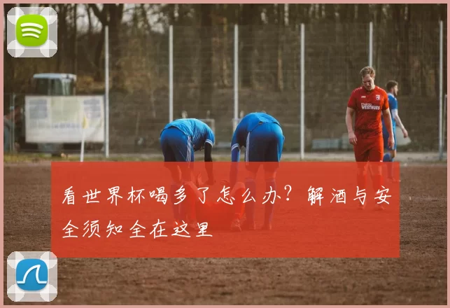 看世界杯喝多了怎么办?解酒与安全须知全在这里