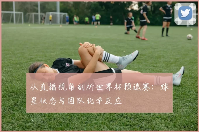 从直播视角剖析世界杯预选赛:球星状态与团队化学反应
