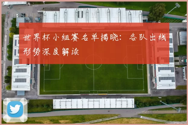 世界杯小组赛名单揭晓:各队出线形势深度解读