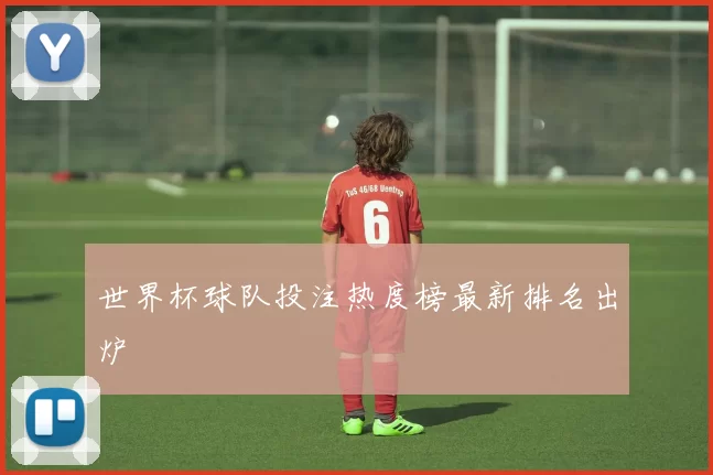 世界杯球队投注热度榜最新排名出炉