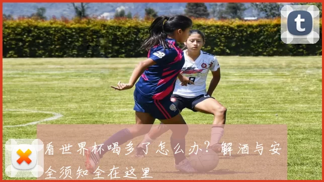 看世界杯喝多了怎么办?解酒与安全须知全在这里