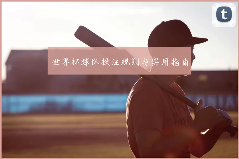 世界杯球队投注规则与实用指南