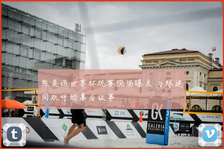 陈奕迅世界杯观赛现场曝光 与球迷同欢呼的幕后故事