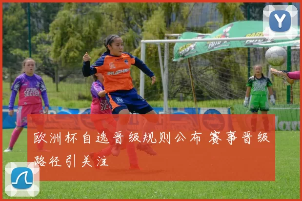 欧洲杯自选晋级规则公布 赛事晋级路径引关注
