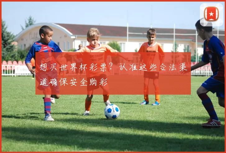 想买世界杯彩票?认准这些合法渠道确保安全购彩