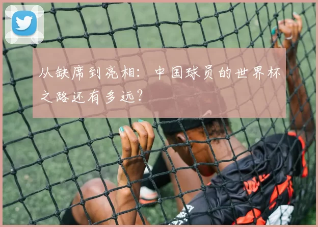 从缺席到亮相:中国球员的世界杯之路还有多远?