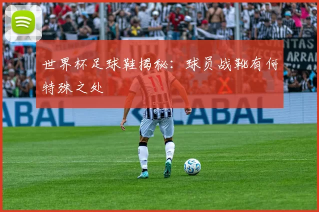 世界杯足球鞋揭秘:球员战靴有何特殊之处