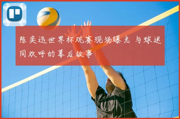 陈奕迅世界杯观赛现场曝光 与球迷同欢呼的幕后故事