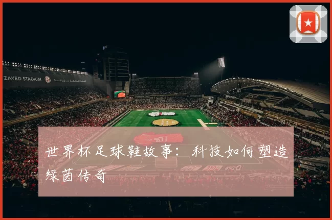 世界杯足球鞋故事:科技如何塑造绿茵传奇