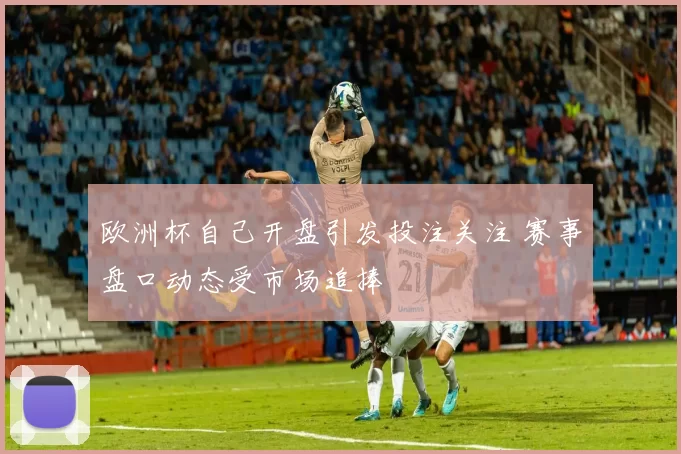 欧洲杯自己开盘引发投注关注 赛事盘口动态受市场追捧