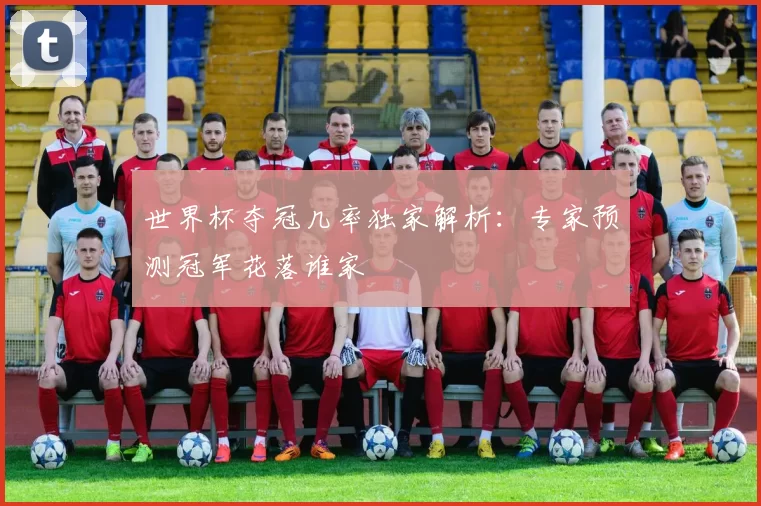 世界杯夺冠几率独家解析:专家预测冠军花落谁家